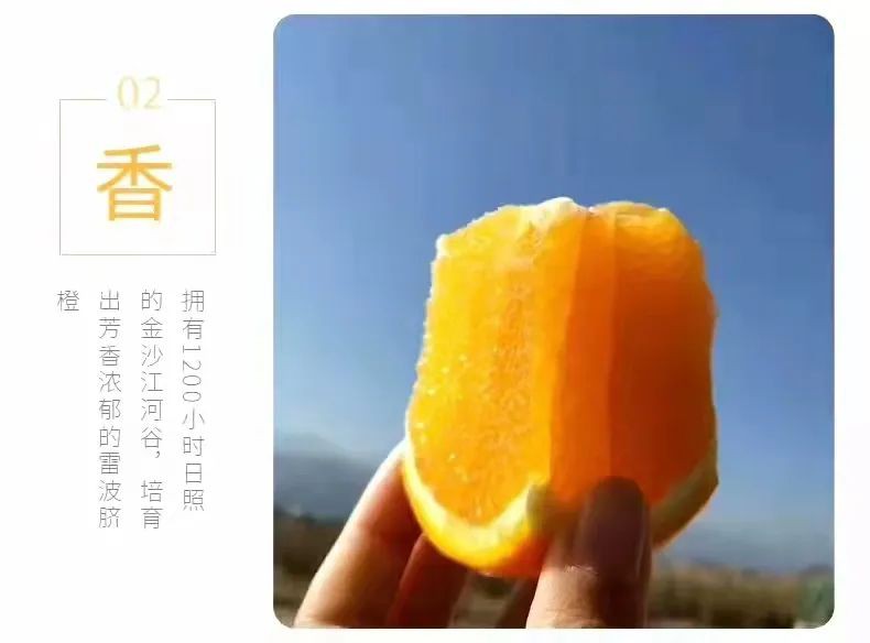 8188www威尼斯 8188www威尼斯