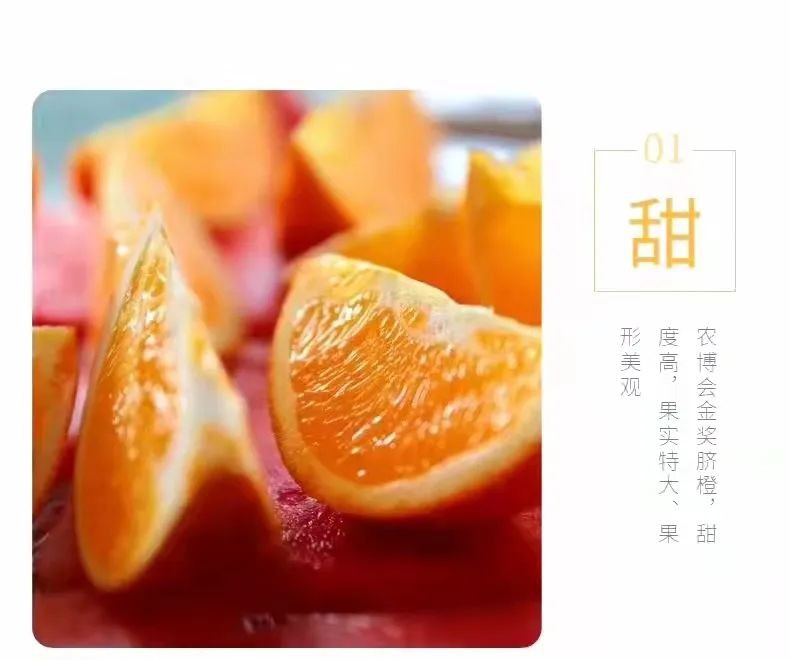 8188www威尼斯 8188www威尼斯
