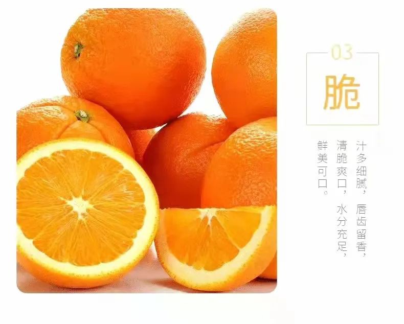 8188www威尼斯 8188www威尼斯
