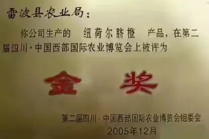 8188www威尼斯